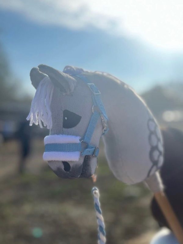 Diva-hobby-horse (2)